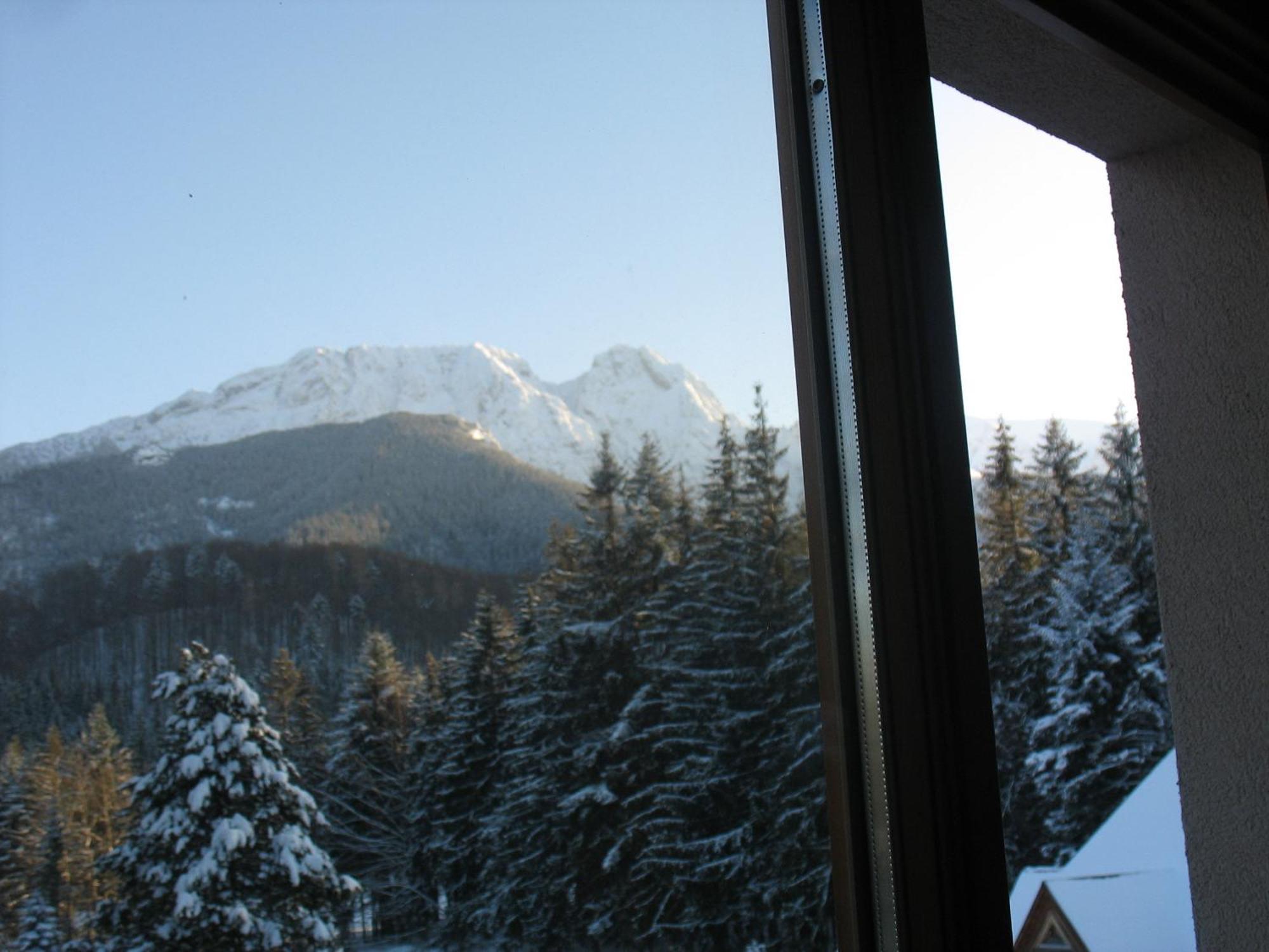 Willa Otulina Pod Giewontem Zakopane Exterior foto