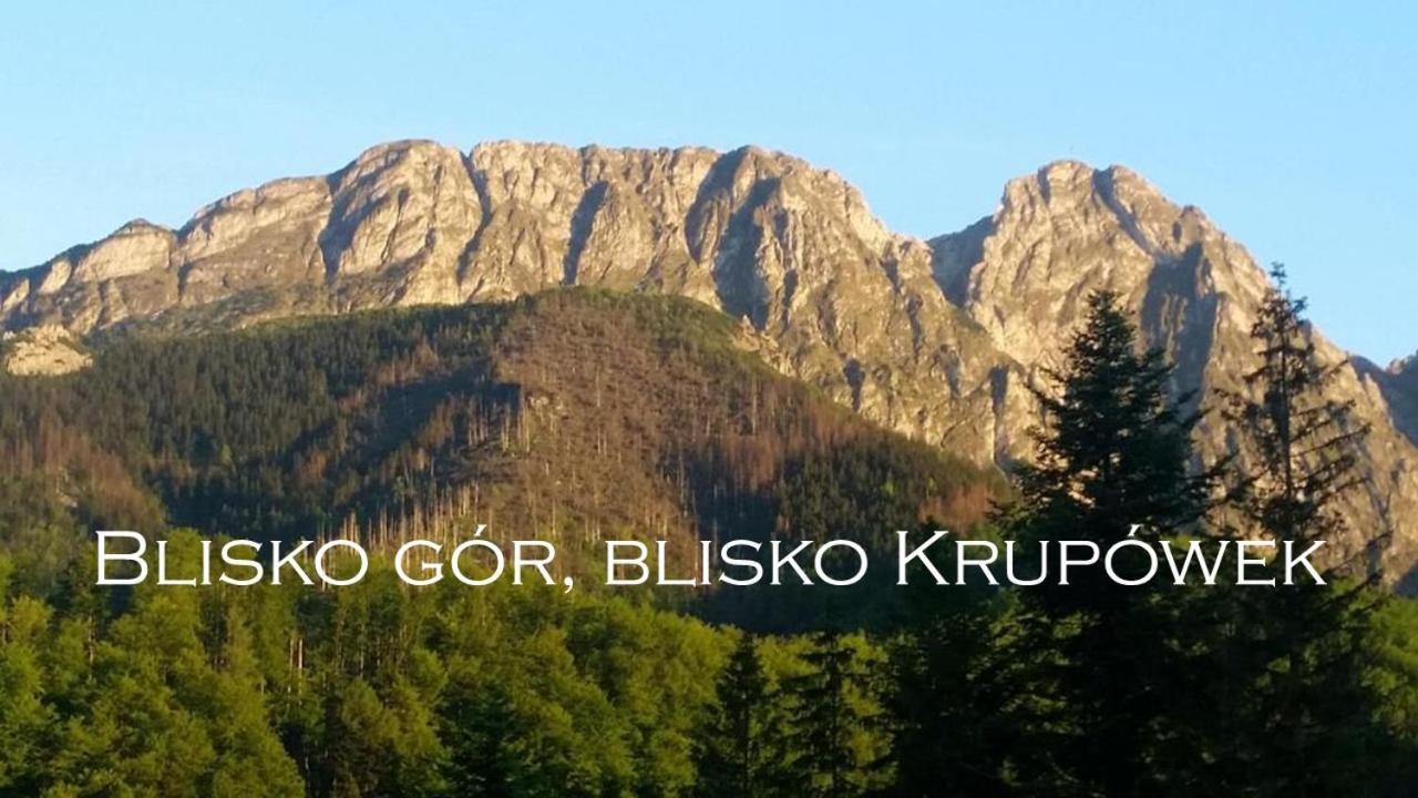 Willa Otulina Pod Giewontem Zakopane Exterior foto