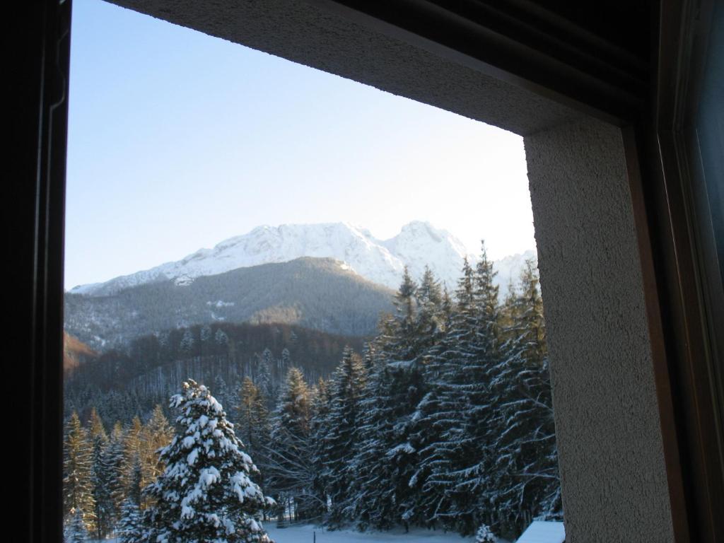 Willa Otulina Pod Giewontem Zakopane Cameră foto