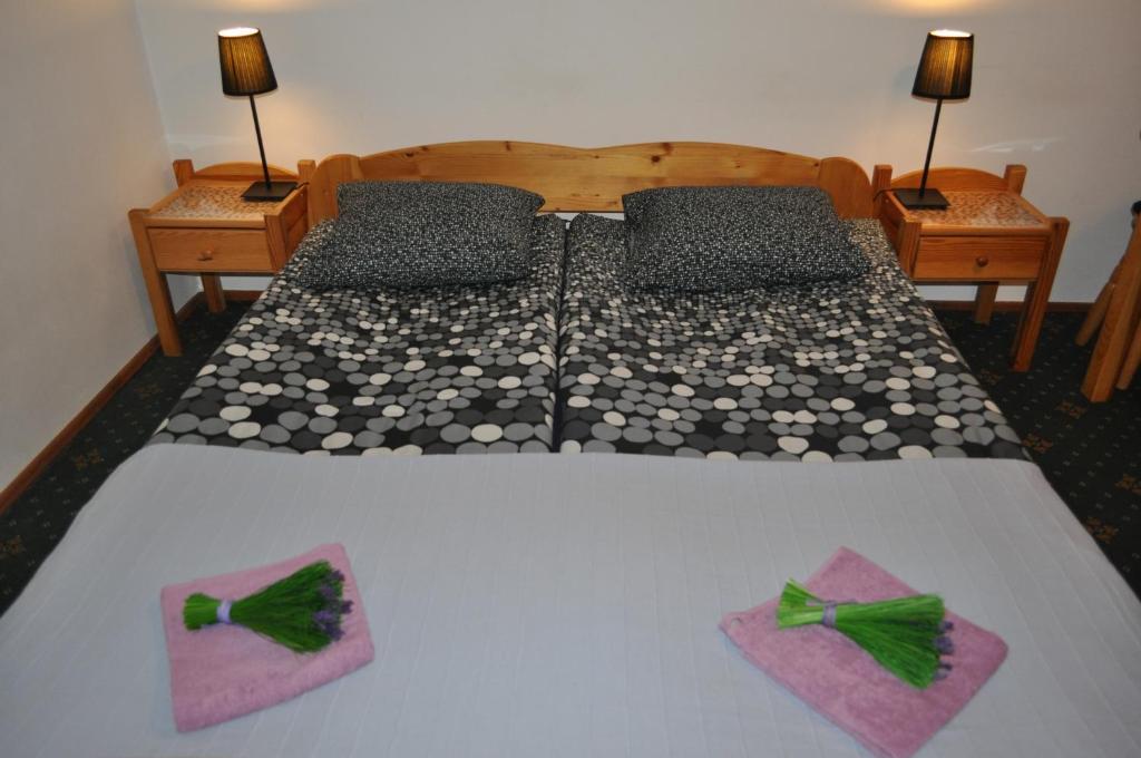 Willa Otulina Pod Giewontem Zakopane Cameră foto